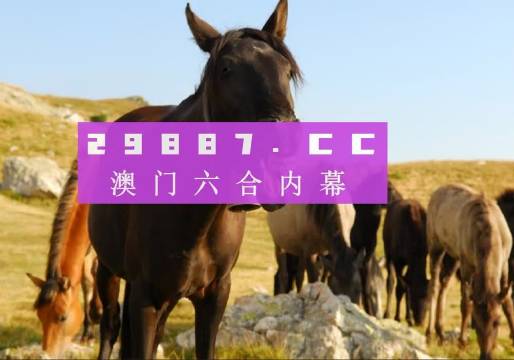 777788888管家婆中特 2025新澳门管家婆必出一肖一码 创新作答、落实解释 免费版9.1免费版下载安装