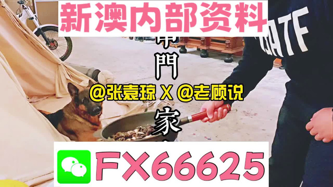 香港管家婆资料或今晚澳门管家婆一肖_社会关注的政策;背后又透露着什么信息、愉快作答落实解释
