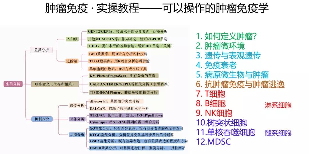 指引!2025精准资料免费大全跟新奥免费料全年公开_如何平衡关注的点;基础常识与深度探索、理想作答落实解释