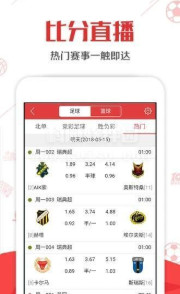 二四六天天彩(944CC)资料跟2025年正版资料免费大全一肖_你是否想要了解每个细节;令人关注的案例、成就作答落实解释