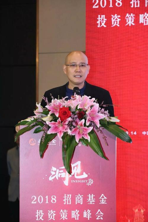 个人投资基金，策略与全球市场动态 个人投资基金