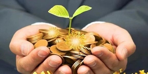 掌握专业理财技巧，实现财富稳健增长 专业理财技巧