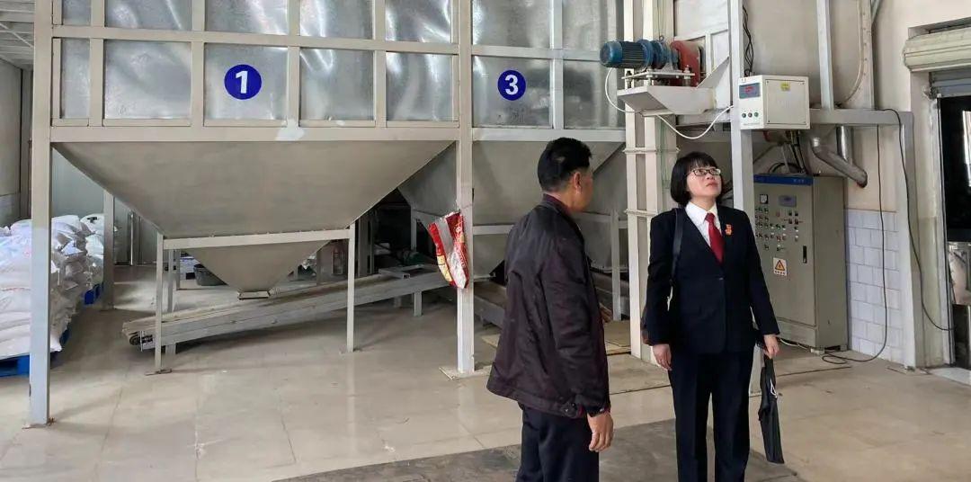 诉讼财产保全保险费用，保障权益与经济负担的平衡 诉讼财产保全保险费用