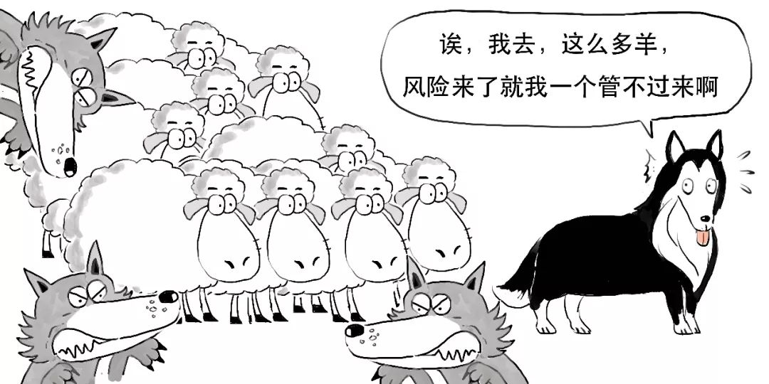 羊群效应理财，现象解析与风险应对 羊群效应理财