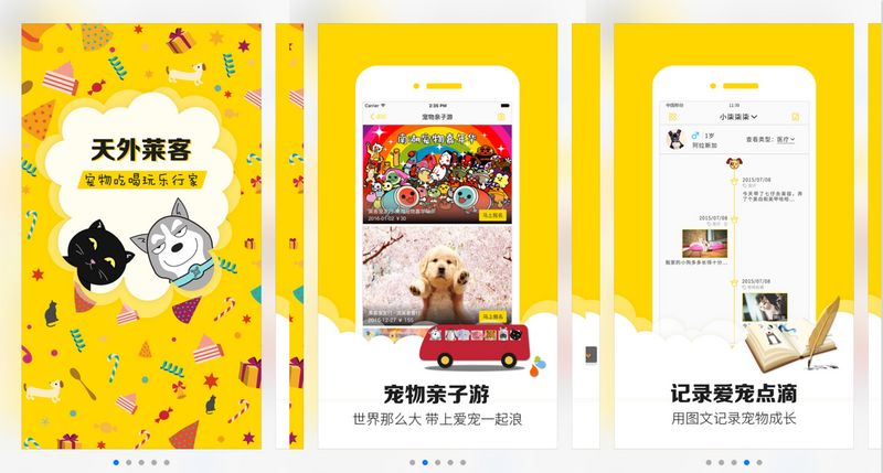 宠物乐园理财，探索现代理财新模式 宠物乐园理财