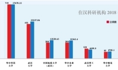 国家自然科学基金项目，推动科研进步与国家发展的强大引擎 国家自然科学基金项
