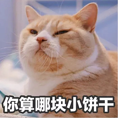 在那个平台买基金最优惠？基金购买平台分析与市场动态解读 在那个平台买基金最优惠
