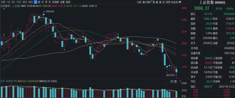 调仓亏损基金经理，市场波动下的挑战与反思 调仓亏损基金经理
